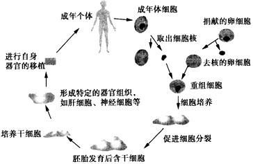 舒泰神300204 中长线吸筹良机再现