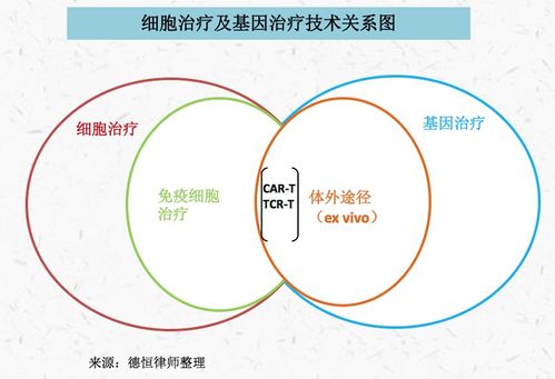 德恒律师事务所 北京德恒 重庆 律师事务所