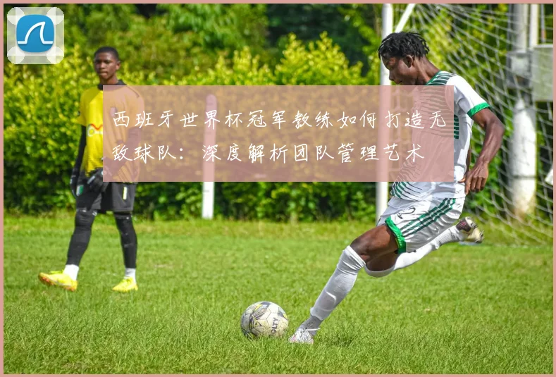西班牙世界杯冠军教练如何打造无敌球队：深度解析团队管理艺术
