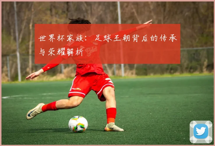 世界杯家族：足球王朝背后的传承与荣耀解析