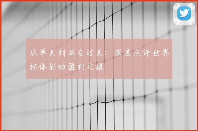 从单关到混合过关：深度点评世界杯体彩的盈利之道