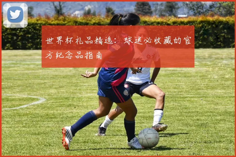 世界杯礼品精选:球迷必收藏的官方纪念品指南